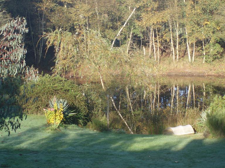 Etang